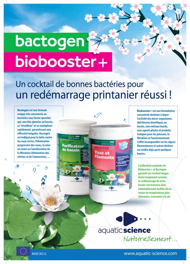 Biobooster + / Bactogen pour éliminer les algues de votre bassin