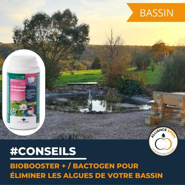 Biobooster Bactogen pour éliminer les algues de votre bassin