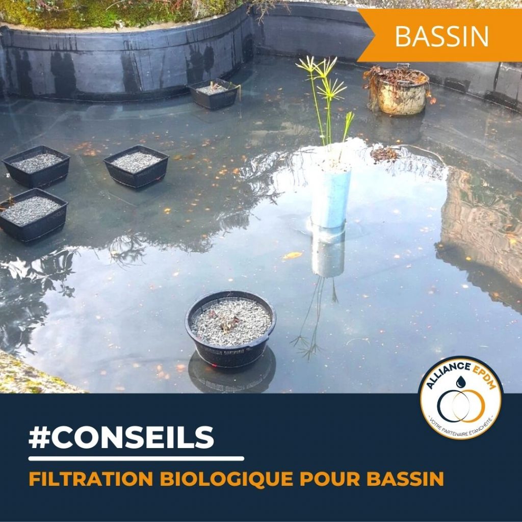 Pourquoi choisir la filtration biologique pour votre bassin , conseils d'Alliance EPDM