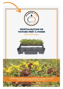 Première de couverture de la fiche technique sur la végétalisation d'un toit par Alliance EPDM